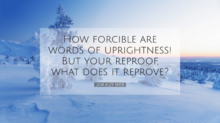 Picture 07 - Job 6:25 WEB Desktop Wallpaper - How forcible are words of uprightness! But your - Desktop Bible Verse Wallpaper
