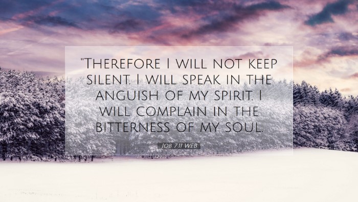 Picture 07 - Job 7:11 WEB Desktop Wallpaper - 