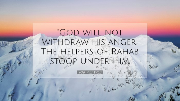 Picture 07 - Job 9:13 WEB Desktop Wallpaper - 