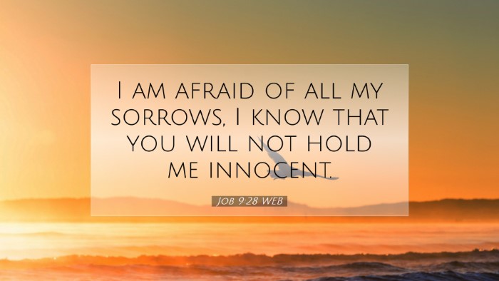 Picture 07 - Job 9:28 WEB Desktop Wallpaper - I am afraid of all my sorrows, I know that you - Desktop Bible Verse Wallpaper