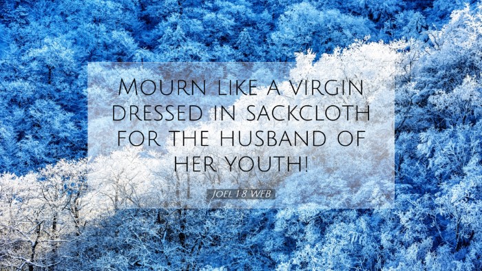Picture 07 - Joel 1:8 WEB Desktop Wallpaper - Mourn like a virgin dressed in sackcloth for the - Desktop Bible Verse Wallpaper
