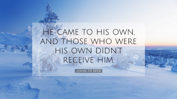 Picture 07 - John 1:11 WEB Desktop Wallpaper - He came to his own, and those who were his own - Desktop Bible Verse Wallpaper