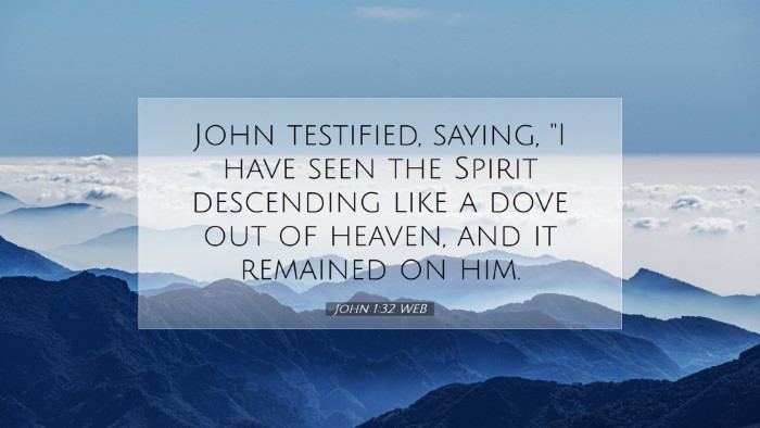 Picture 07 - John 1:32 WEB Desktop Wallpaper - John testified, saying, 