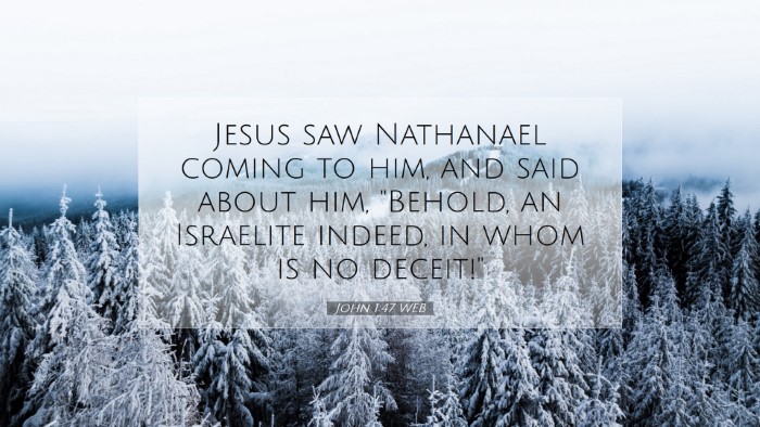 Picture 07 - John 1:47 WEB Desktop Wallpaper - Jesus saw Nathanael coming to him, and said about - Desktop Bible Verse Wallpaper