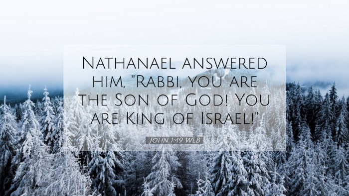 Picture 07 - John 1:49 WEB Desktop Wallpaper - Nathanael answered him, 
