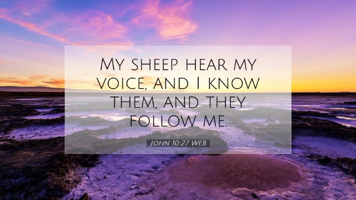 Picture 07 - John 10:27 WEB Desktop Wallpaper - My sheep hear my voice, and I know them, and they - Desktop Bible Verse Wallpaper