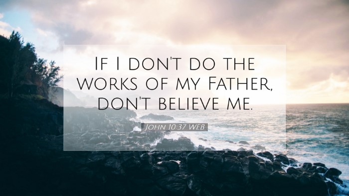 Picture 07 - John 10:37 WEB Desktop Wallpaper - If I don't do the works of my Father, don't - Desktop Bible Verse Wallpaper