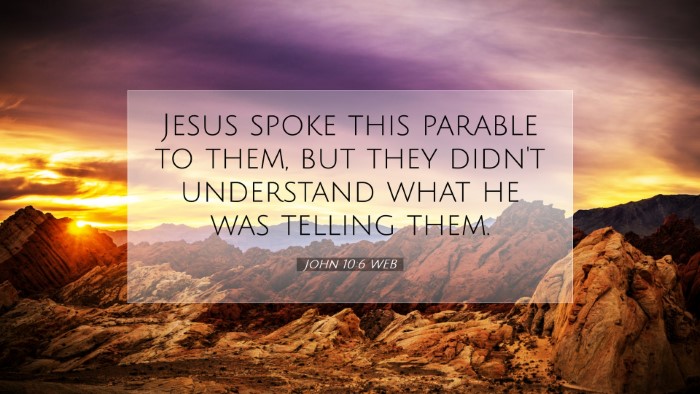 Picture 07 - John 10:6 WEB Desktop Wallpaper - Jesus spoke this parable to them, but they didn't - Desktop Bible Verse Wallpaper