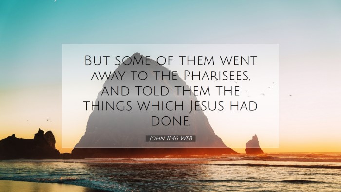 Picture 07 - John 11:46 WEB Desktop Wallpaper - But some of them went away to the Pharisees, and - Desktop Bible Verse Wallpaper