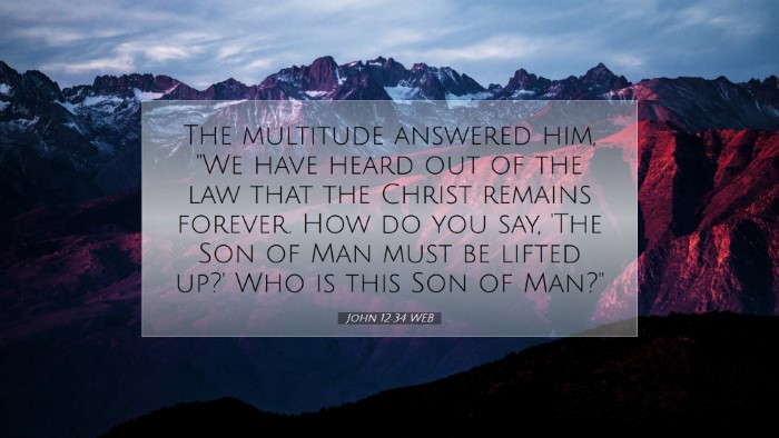 Picture 07 - John 12:34 WEB Desktop Wallpaper - The multitude answered him, 