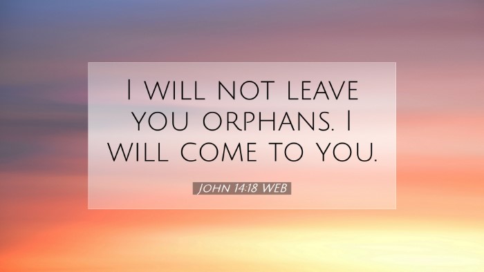 Picture 07 - John 14:18 WEB Desktop Wallpaper - I will not leave you orphans. I will come to - Desktop Bible Verse Wallpaper