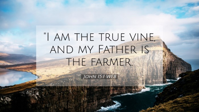 Picture 07 - John 15:1 WEB Desktop Wallpaper - 