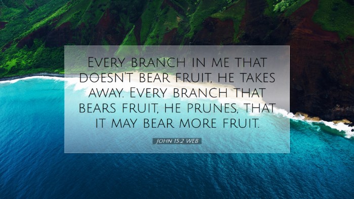 Picture 07 - John 15:2 WEB Desktop Wallpaper - Every branch in me that doesn't bear fruit, he - Desktop Bible Verse Wallpaper
