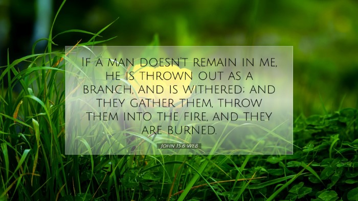 Picture 07 - John 15:6 WEB Desktop Wallpaper - If a man doesn't remain in me, he is thrown out - Desktop Bible Verse Wallpaper