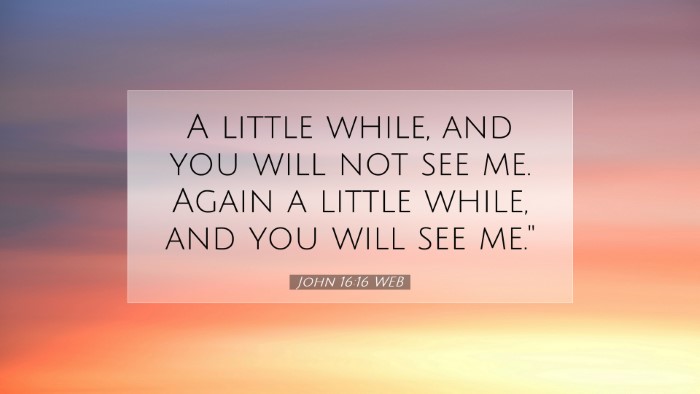 Picture 07 - John 16:16 WEB Desktop Wallpaper - A little while, and you will not see me. Again a - Desktop Bible Verse Wallpaper