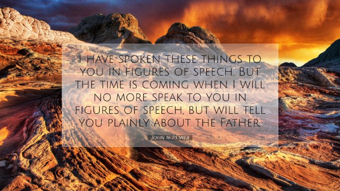 Picture 07 - John 16:25 WEB Desktop Wallpaper - I have spoken these things to you in figures of - Desktop Bible Verse Wallpaper