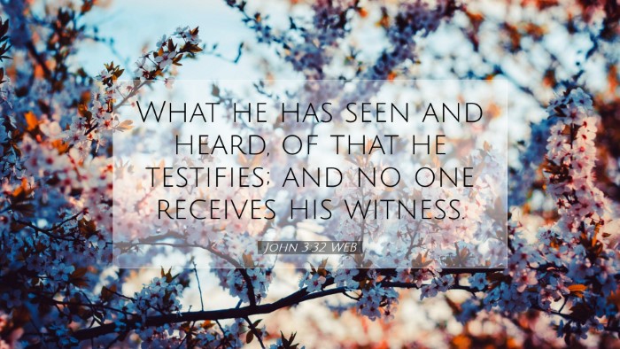 Picture 07 - John 3:32 WEB Desktop Wallpaper - What he has seen and heard, of that he testifies; - Desktop Bible Verse Wallpaper