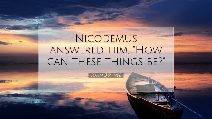 Picture 07 - John 3:9 WEB Desktop Wallpaper - Nicodemus answered him, 