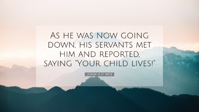 Picture 07 - John 4:51 WEB Desktop Wallpaper - As he was now going down, his servants met him - Desktop Bible Verse Wallpaper