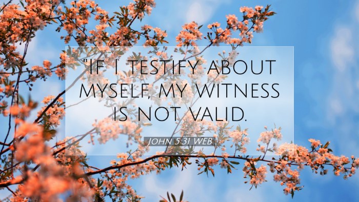 Picture 07 - John 5:31 WEB Desktop Wallpaper - 