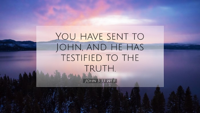 Picture 07 - John 5:33 WEB Desktop Wallpaper - You have sent to John, and he has testified to - Desktop Bible Verse Wallpaper