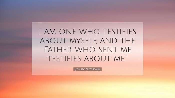 Picture 07 - John 8:18 WEB Desktop Wallpaper - I am one who testifies about myself, and the - Desktop Bible Verse Wallpaper