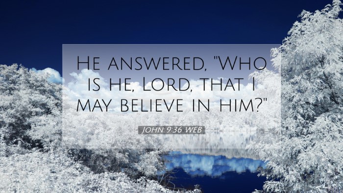 Picture 07 - John 9:36 WEB Desktop Wallpaper - He answered, 