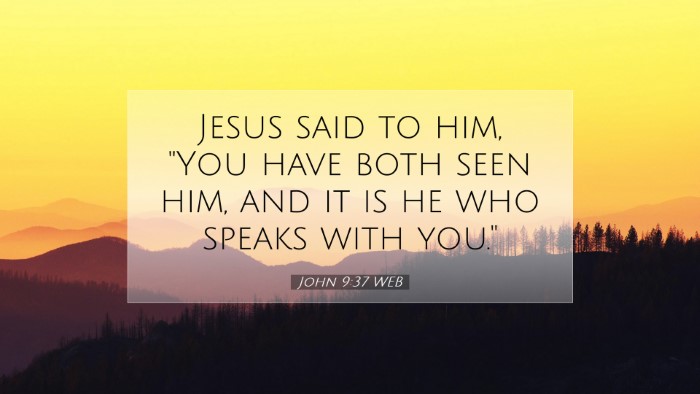 Picture 07 - John 9:37 WEB Desktop Wallpaper - Jesus said to him, 