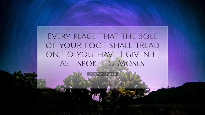 Picture 07 - Joshua 1:3 WEB Desktop Wallpaper - Every place that the sole of your foot shall - Desktop Bible Verse Wallpaper