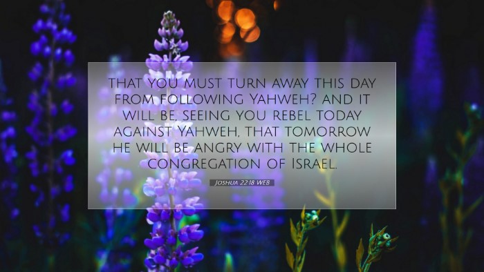 Picture 07 - Joshua 22:18 WEB Desktop Wallpaper - that you must turn away this day from following - Desktop Bible Verse Wallpaper
