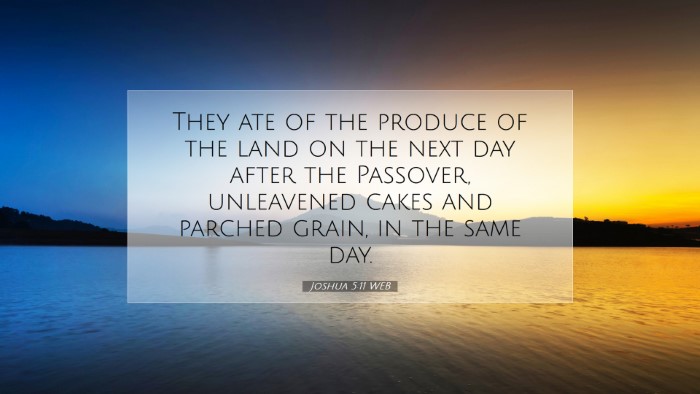 Picture 07 - Joshua 5:11 WEB Desktop Wallpaper - They ate of the produce of the land on the next - Desktop Bible Verse Wallpaper