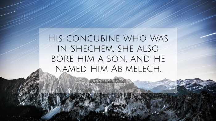 Picture 07 - Judges 8:31 WEB Desktop Wallpaper - His concubine who was in Shechem, she also bore - Desktop Bible Verse Wallpaper