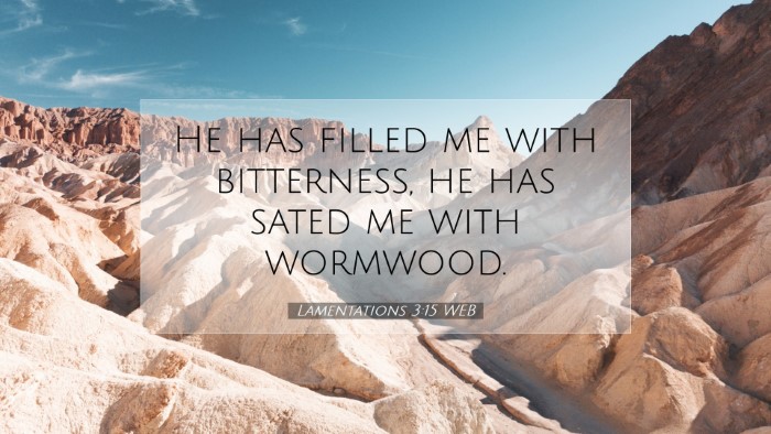 Picture 07 - Lamentations 3:15 WEB Desktop Wallpaper - He has filled me with bitterness, he has sated me - Desktop Bible Verse Wallpaper