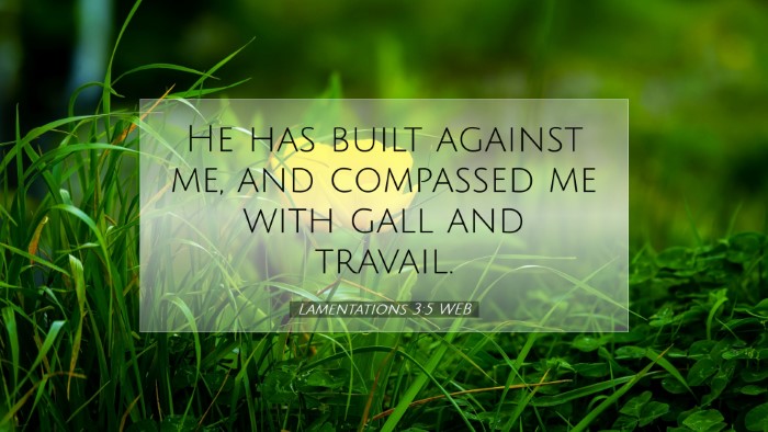 Picture 07 - Lamentations 3:5 WEB Desktop Wallpaper - He has built against me, and compassed me with - Desktop Bible Verse Wallpaper