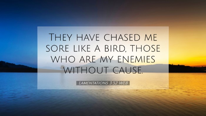 Picture 07 - Lamentations 3:52 WEB Desktop Wallpaper - They have chased me sore like a bird, those who - Desktop Bible Verse Wallpaper
