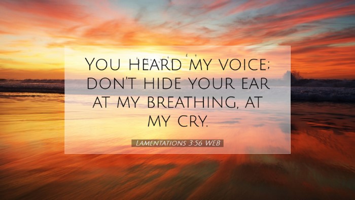 Picture 07 - Lamentations 3:56 WEB Desktop Wallpaper - You heard my voice; don't hide your ear at my - Desktop Bible Verse Wallpaper