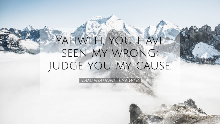 Picture 07 - Lamentations 3:59 WEB Desktop Wallpaper - Yahweh, you have seen my wrong; judge you my - Desktop Bible Verse Wallpaper