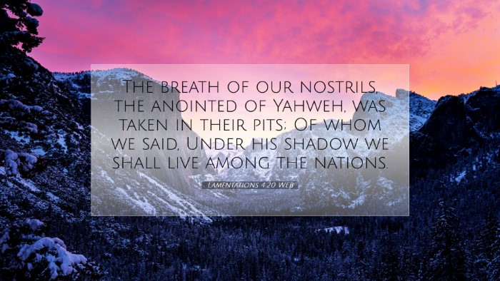 Picture 07 - Lamentations 4:20 WEB Desktop Wallpaper - The breath of our nostrils, the anointed of - Desktop Bible Verse Wallpaper