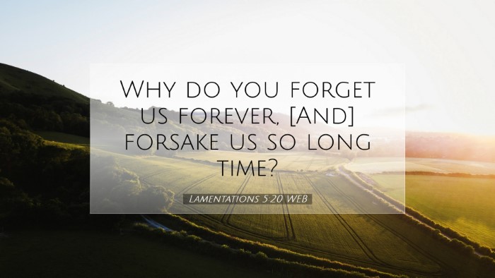 Picture 07 - Lamentations 5:20 WEB Desktop Wallpaper - Why do you forget us forever, [And] forsake us so - Desktop Bible Verse Wallpaper