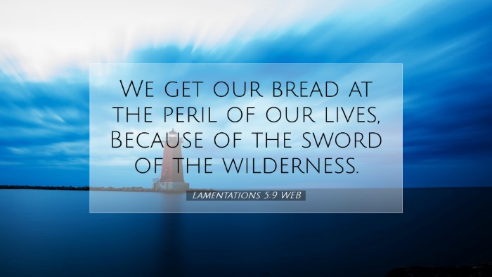 Picture 07 - Lamentations 5:9 WEB Desktop Wallpaper - We get our bread at the peril of our lives, - Desktop Bible Verse Wallpaper