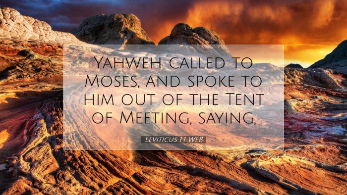 Picture 07 - Leviticus 1:1 WEB Desktop Wallpaper - Yahweh called to Moses, and spoke to him out of - Desktop Bible Verse Wallpaper