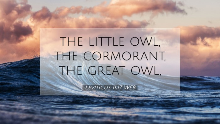 Picture 07 - Leviticus 11:17 WEB Desktop Wallpaper - the little owl, the cormorant, the great - Desktop Bible Verse Wallpaper