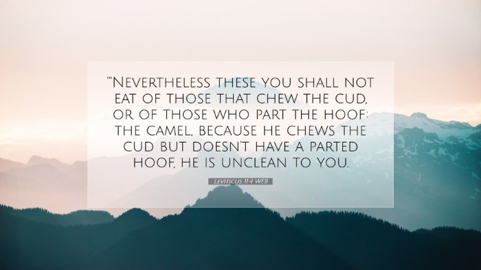 Picture 07 - Leviticus 11:4 WEB Desktop Wallpaper - 