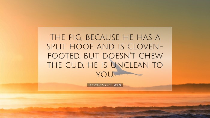 Picture 07 - Leviticus 11:7 WEB Desktop Wallpaper - The pig, because he has a split hoof, and is - Desktop Bible Verse Wallpaper