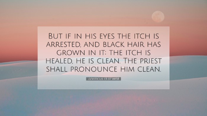 Picture 07 - Leviticus 13:37 WEB Desktop Wallpaper - But if in his eyes the itch is arrested, and - Desktop Bible Verse Wallpaper
