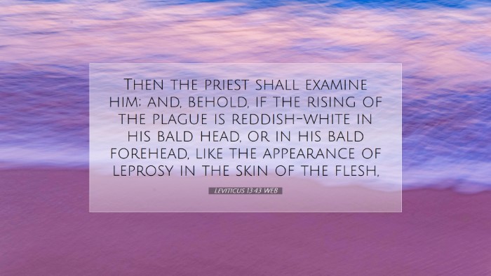 Picture 07 - Leviticus 13:43 WEB Desktop Wallpaper - Then the priest shall examine him; and, behold, - Desktop Bible Verse Wallpaper