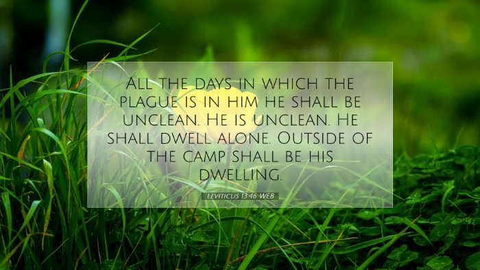 Picture 07 - Leviticus 13:46 WEB Desktop Wallpaper - All the days in which the plague is in him he - Desktop Bible Verse Wallpaper