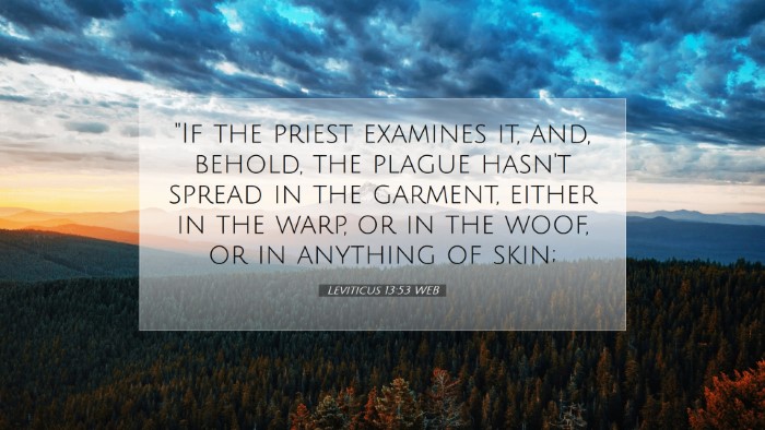 Picture 07 - Leviticus 13:53 WEB Desktop Wallpaper - 
