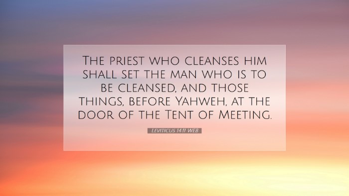 Picture 07 - Leviticus 14:11 WEB Desktop Wallpaper - The priest who cleanses him shall set the man who - Desktop Bible Verse Wallpaper