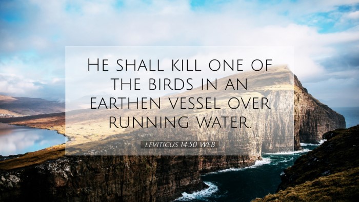 Picture 07 - Leviticus 14:50 WEB Desktop Wallpaper - He shall kill one of the birds in an earthen - Desktop Bible Verse Wallpaper